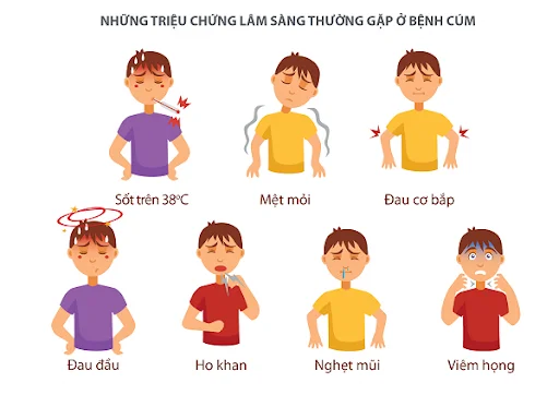 Cac-trieu-chung-thuong-gap-cua-benh-viem-duong-ho-hap-do-virus.webp